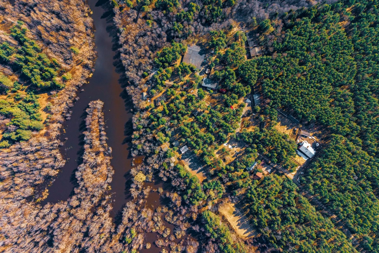 Продается действующая база отдыха (турбаза) расположенная в сосновом бору 
рядом с лесным озером Чернецкое и каскадом прудов в отдалении (бывшие песчаные карьеры). 
Площадь земельного участка 6,75 Га, в собственности. 
Общая площадь тридцати строений более 4400 кв.м.
Хороший асфальтовый подъезд до т