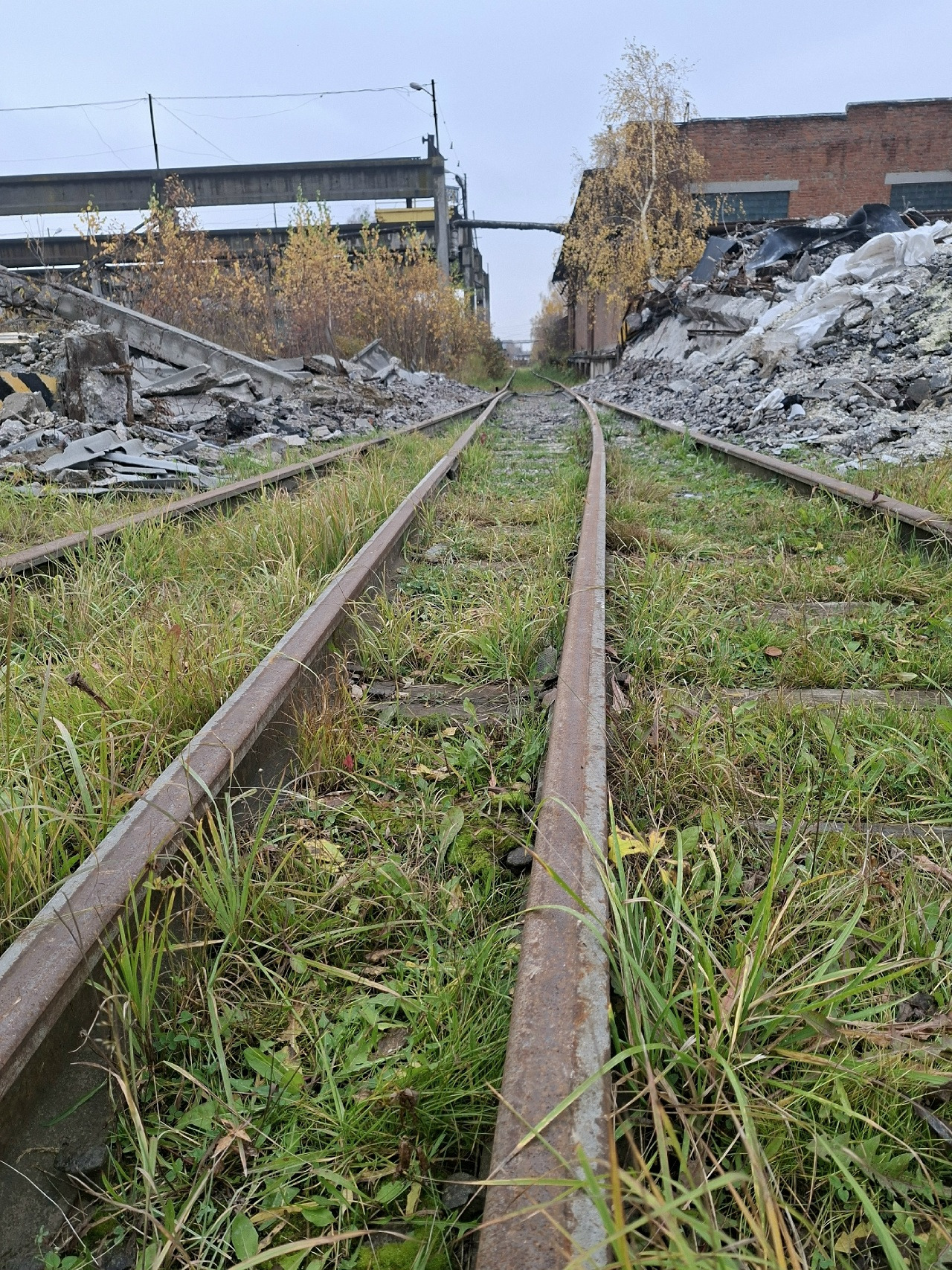 Сдаются в аренду железнодорожные ветки.
В ЛОТ ВХОДЯТ:
- Железнодорожная ветка протяженностью 417 метров.
- Железнодорожная ветка протяженностью 204 метра.
ВМЕСТИМОСТЬ ПУТЕЙ: 
- 100 вагонов.
РАСПОЛОЖЕНИЕ:
- Промышленный район города Владимира.
СОСТОЯНИЕ:
- Ветка обслуживается. 
- Шпалы на большинстве